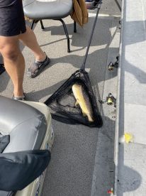 Aaron is a great guide!