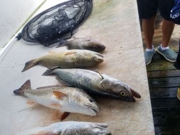 Fishing with Frank