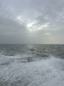 Great experience