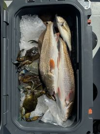 Great fishing!