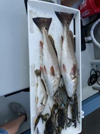 Great fishing!