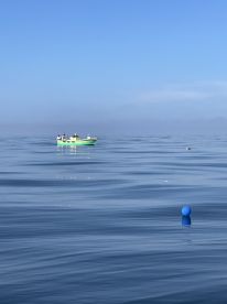 Fishing in Napoli