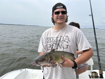 Holy Catfish!