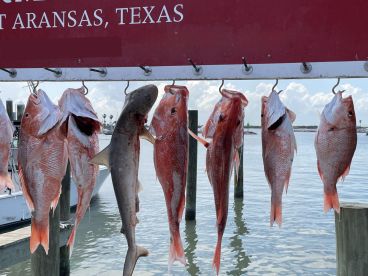 WE CAUGHT OUR LIMIT!