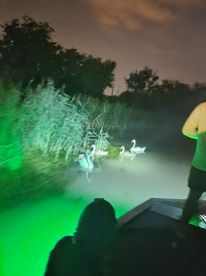 Fishing in Hungary 
