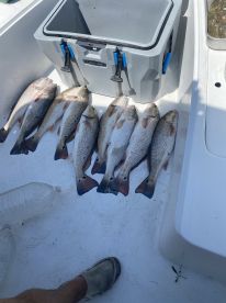 Good time on the water