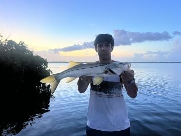 Awesome Afternoon Fishing 
