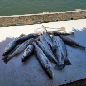 Great time with the family