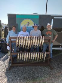 Got fish and lot of Walleye 