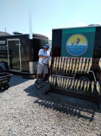 Got fish and lot of Walleye 