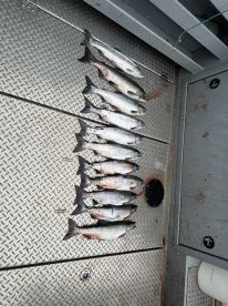 Great Half Day in Ketchikan