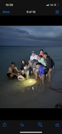 4 Hr Shark Fishing 