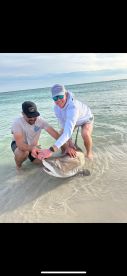 4 Hr Shark Fishing 