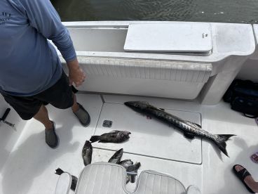 $900 in gas for 6 keeper seabass and a barracuda 