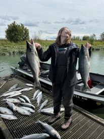 Sockeye salmon on the Kenai River!