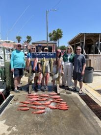 Lots of fish