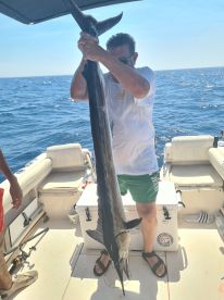 Swordfish