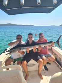 Swordfish