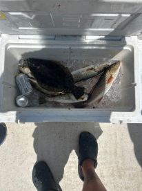 GREAT FISHING TRIP WITH CAPTAIN SHAWN