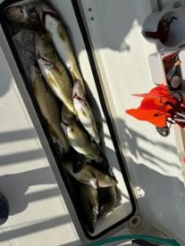 Hookin Hogs was excellent