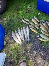LUCKY Buck charters 