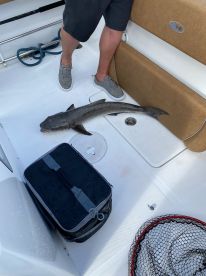 Capt Matt two thumbs up. FishingBooker not so much