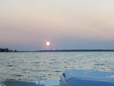 Captain Mike knows lake Erie.