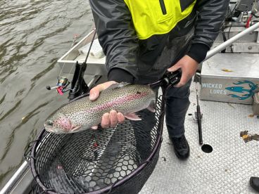 Talkeetna River 