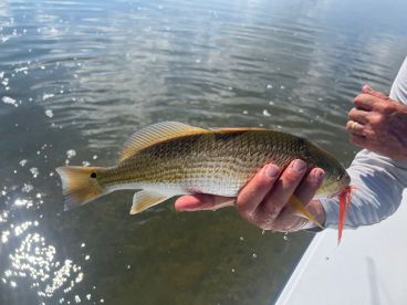 Paul and his redfish