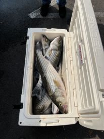 Tim was a lot of fun to fish with. 
