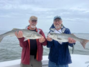 Rockfish ahead of the weather