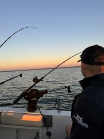 Captain John Delivers. 
