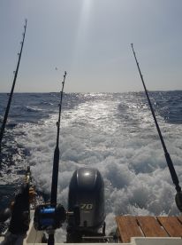 Memorable trip with a capable Captain 