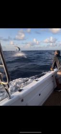 Trip of a lifetime