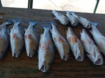 October fishing with Captain Roy