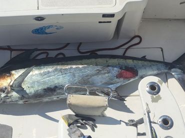 October fishing trip