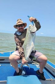 Great Estuary Guide