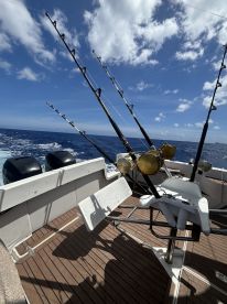 Nice fishing trip