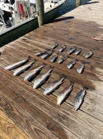 November fishing trip