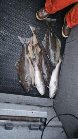 A great day on the water