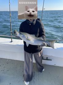 All got fish