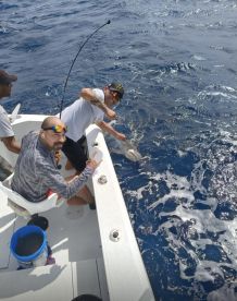 Great day on the water. Experienced captain and crew. 