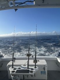Great day! 