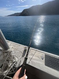 Perfect sea conditions, great morning out. 