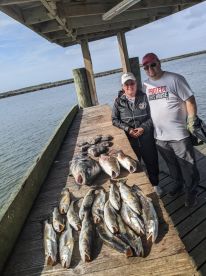Plenty of fish!