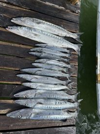 Outstanding trip- caught a ton of fish