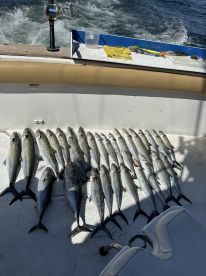 Awesome day!