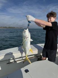 Fishing frenzy
