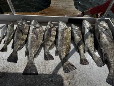 Fishing with Jacob