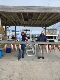 Very good am red snapper trip.